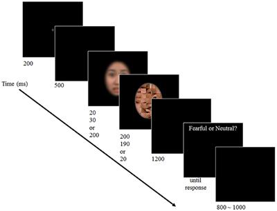 Gender Differences in Neural Responses to Perceptually Invisible Fearful Face—An ERP Study